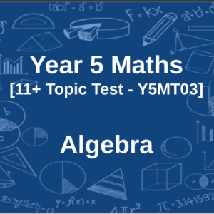 11+ Maths Algebra Test